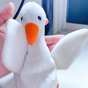 Beanie Babies Collection